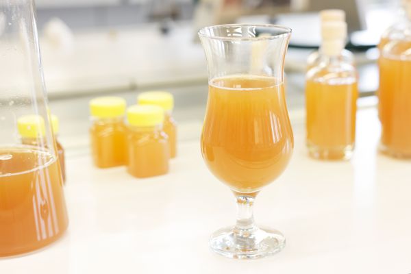 Obtaining a functional drink based on cloudy apple juice and selected bee products