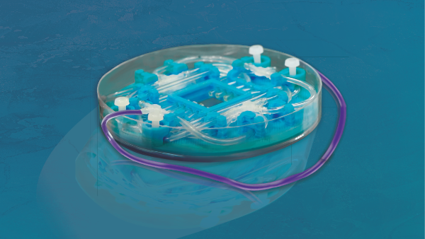 3D perfusion cell cultures - pe3Dish dishes